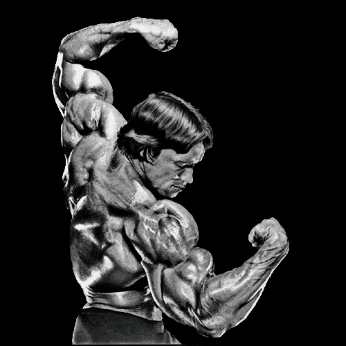 Camiseta NK X Arnold